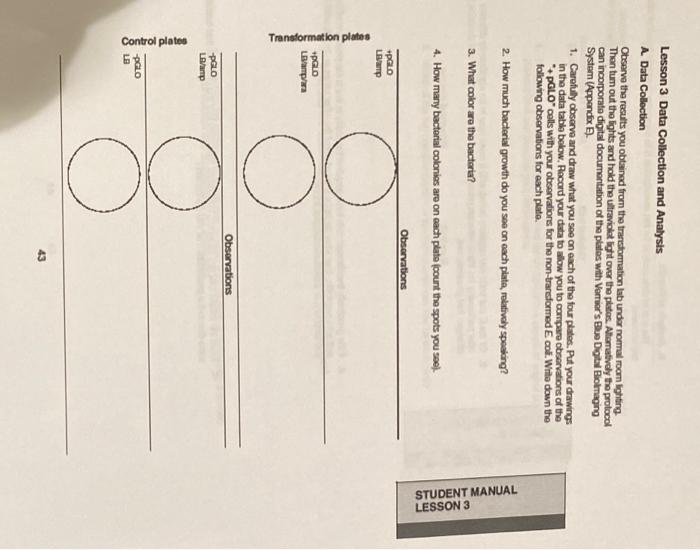 Solved Lesson 3 Data Collection and Analysis A. Data | Chegg.com