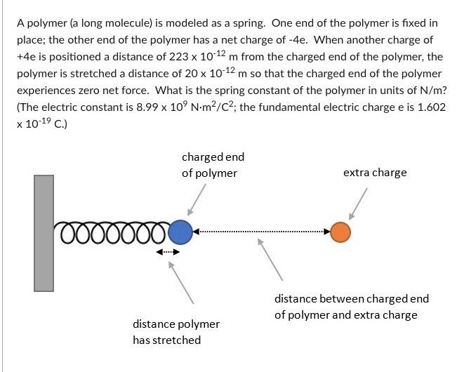 Solved A polymer (a long molecule) is modeled as a spring. | Chegg.com