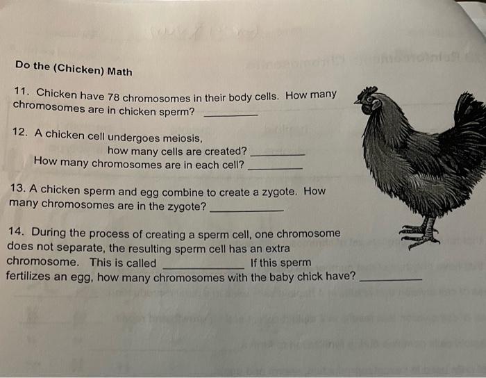 11. Chicken have 78 chromosomes in their body cells.