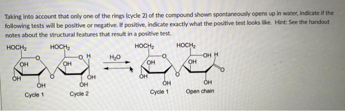 Solved Indicate if the following tests will be positive or | Chegg.com