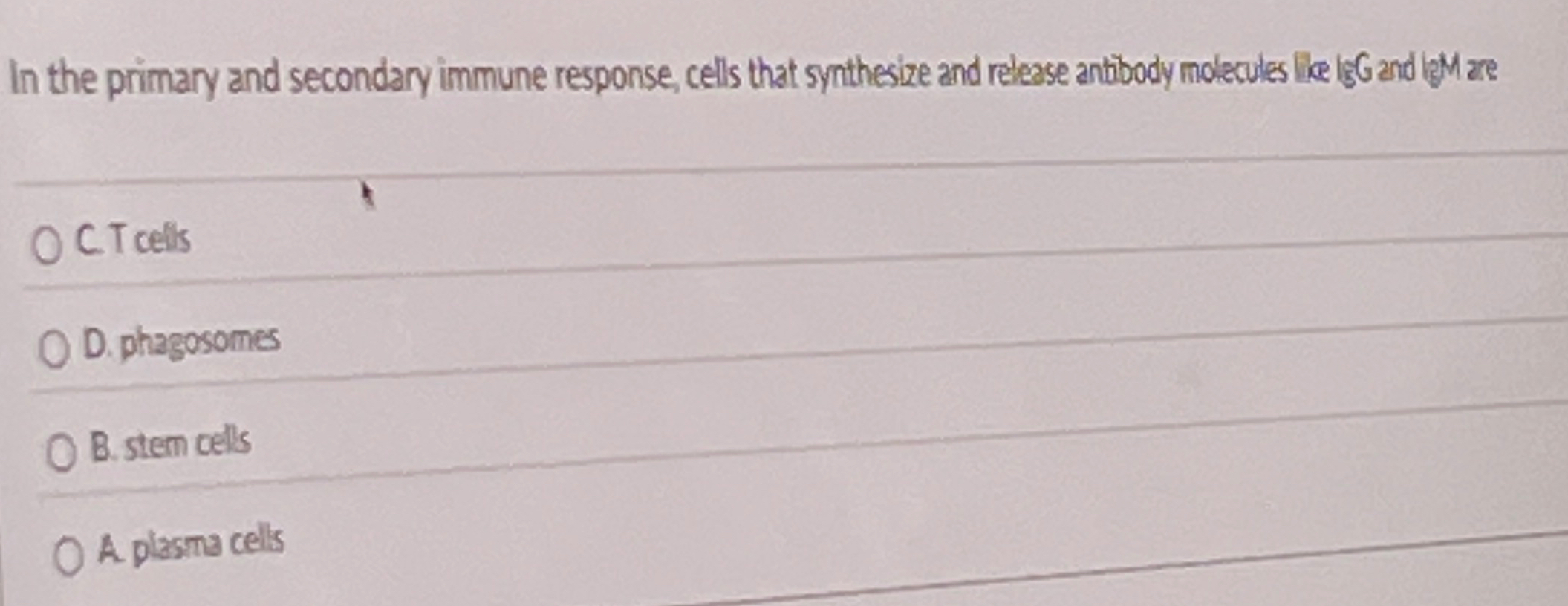 Solved In the primary and secondary immune response, cells