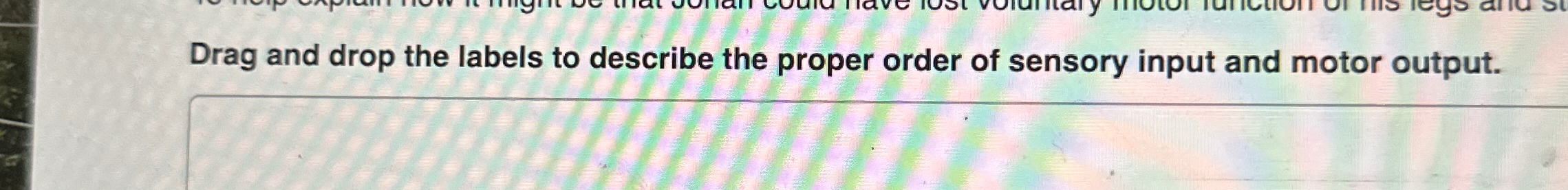Solved Drag and drop the labels to describe the proper order | Chegg.com