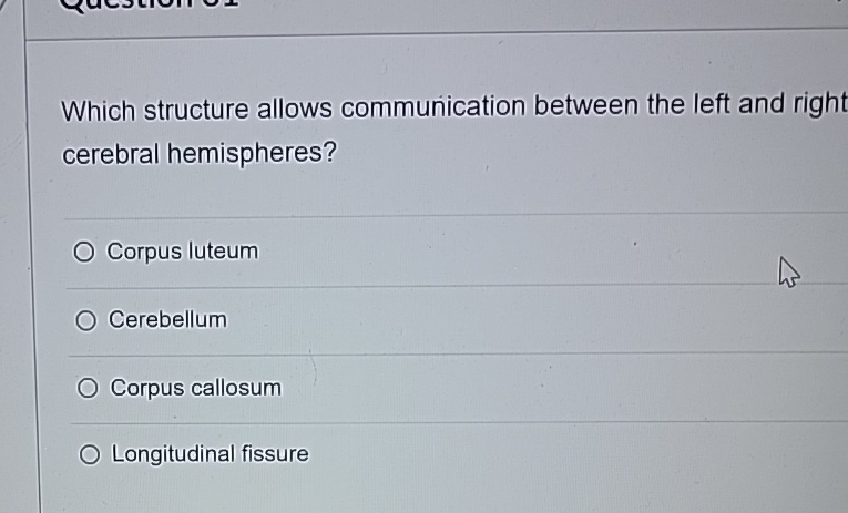 Solved Which structure allows communication between the left | Chegg.com