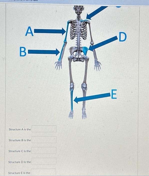 Solved Structure A Is The Structure B Is The Structure C Is | Chegg.com