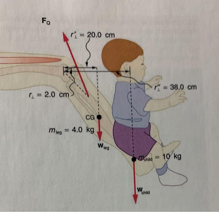 Solved 34. A father lifts his child as shown in Figure 9.43.