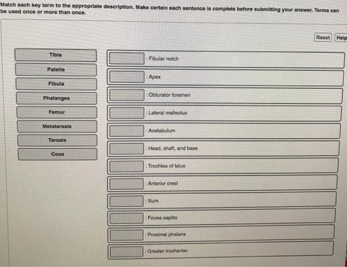 Solved Match Each Key Term To The Appropriate Description Chegg Com