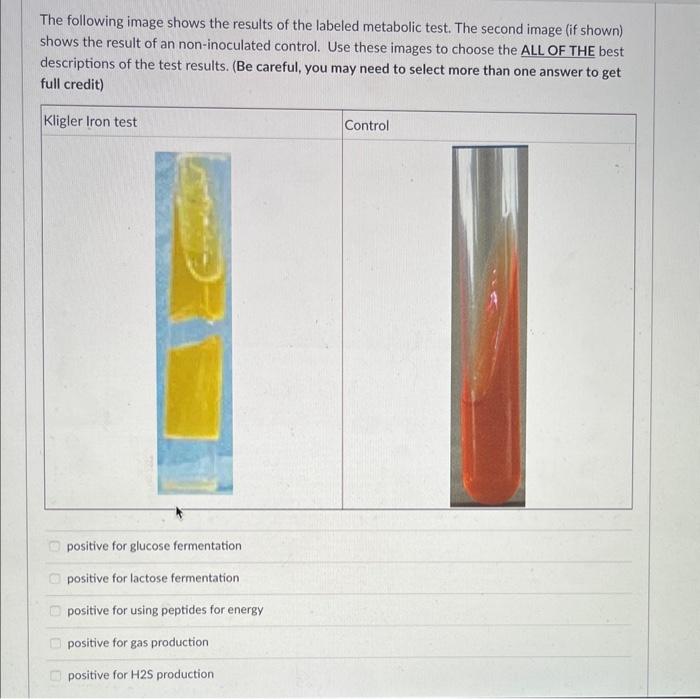 Solved The following image shows the results of the labeled | Chegg.com
