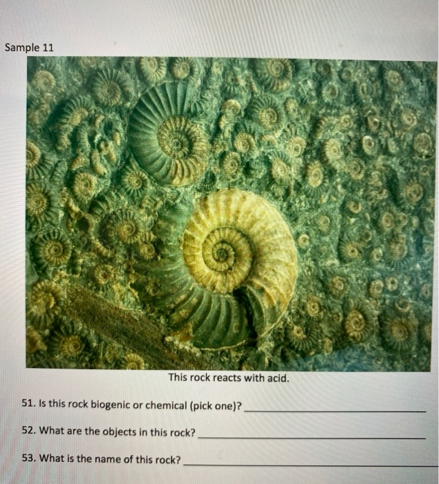 Solved Sample 9. This rock reacts with acid and can be