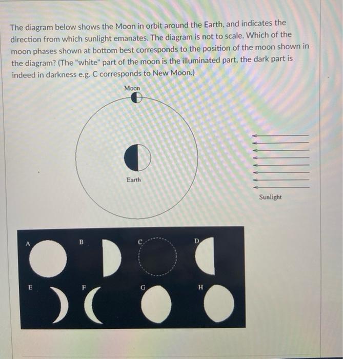My Image 18