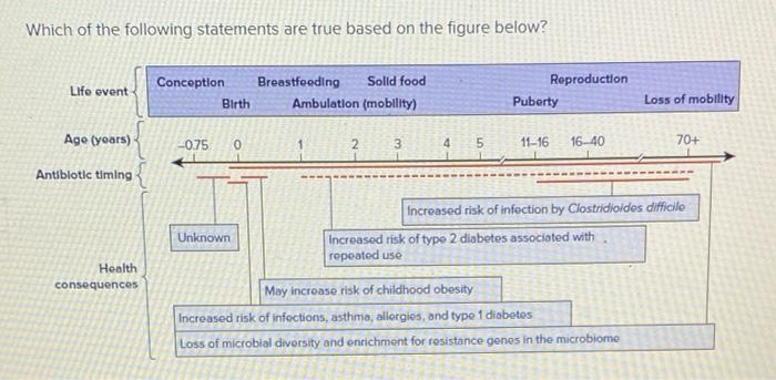 Solved Which of the following statements are true based on | Chegg.com