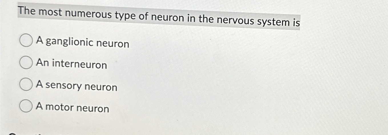 Solved The most numerous type of neuron in the nervous | Chegg.com