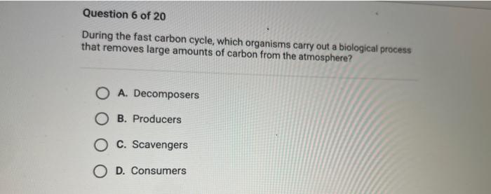Solved During the fast carbon cycle, which organisms carry | Chegg.com