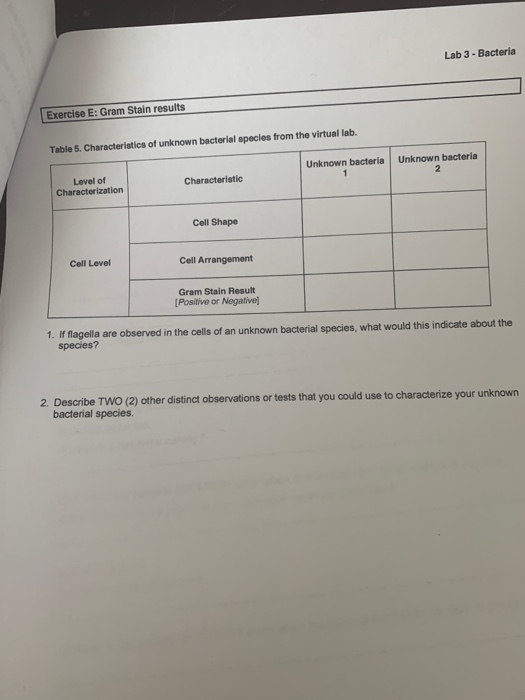 Lab 3 - Bacteria Exercise E: Gram Stain results Table | Chegg.com