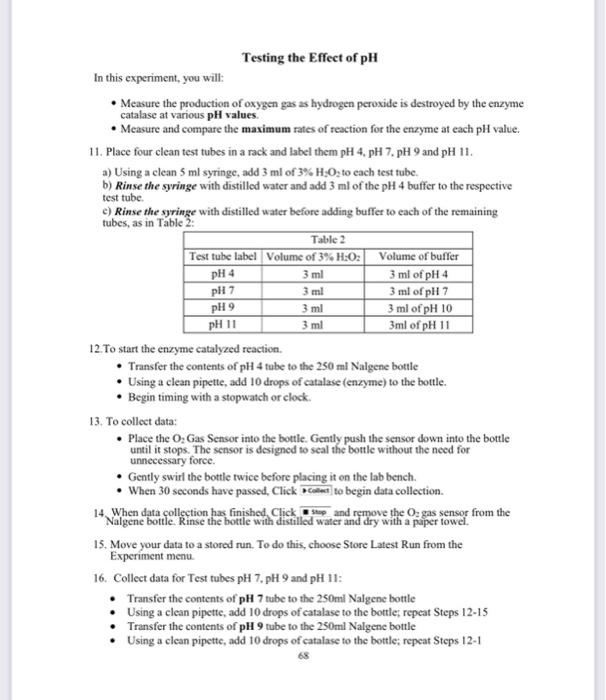 Lab 7 Enzyme II Testing Catalase Activity - continued | Chegg.com