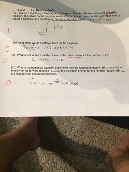 Solved 2. (25 pts) The Reaction Profile (2a) Sketch a | Chegg.com