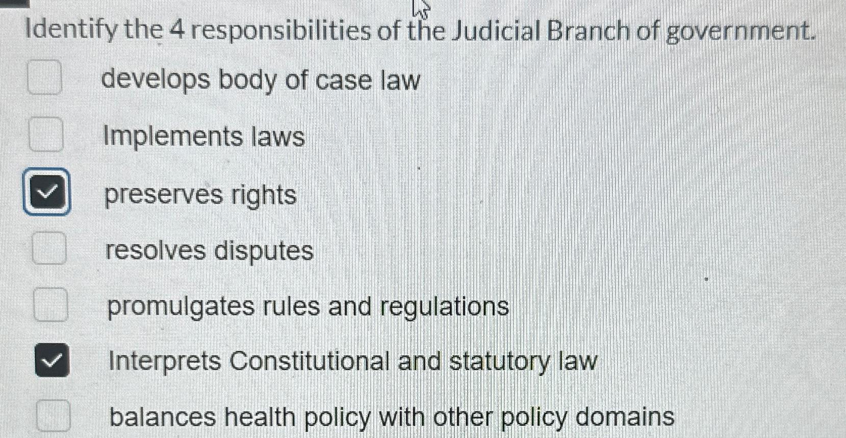 What is the main responsibility of the judicial hot sale branch