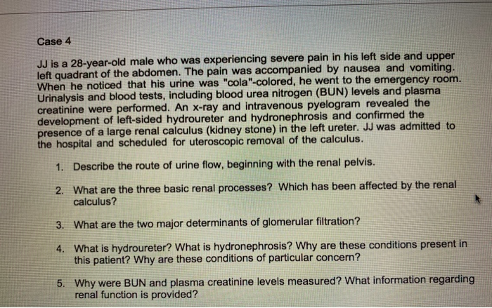 Solved Case 4 JJ is a 28-year-old male who was experiencing | Chegg.com
