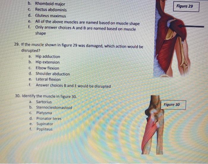 15 Multiple Sclerosis Is A Disease That Destroys The Chegg 
