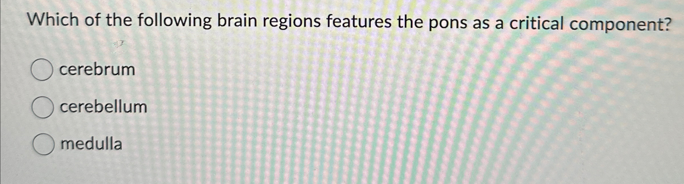 Solved Which Of The Following Brain Regions Features The | Chegg.com