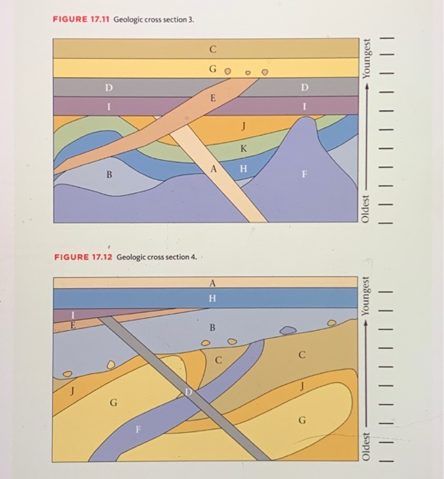 Solved FIGURE 17.9 Geologic cross section 1. B Youngest D | Chegg.com