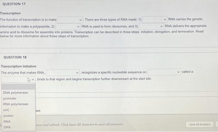 Solved QUESTION 17 Transcription The function of | Chegg.com