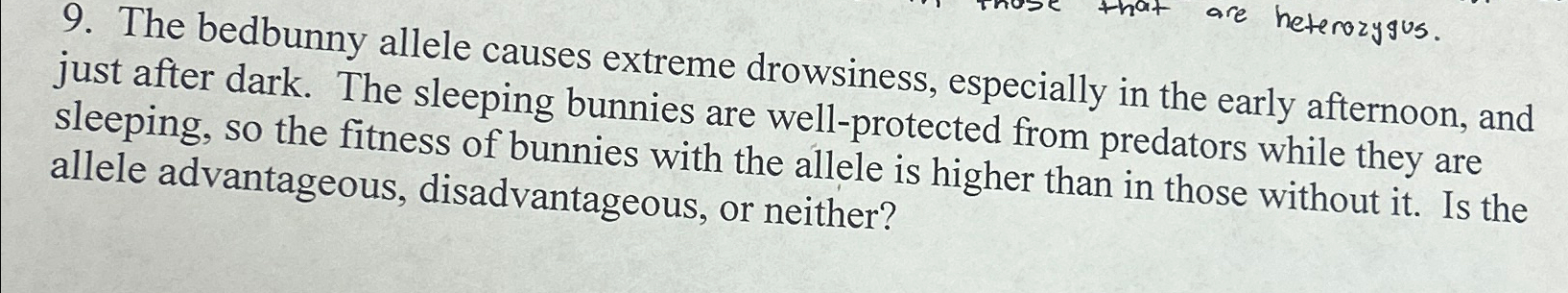 Solved The bedbunny allele causes extreme drowsiness, | Chegg.com