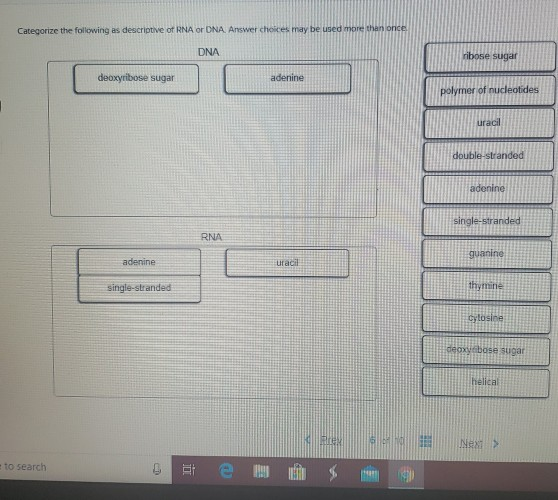 Solved Categorize the following as descriptive of RNA or DNA | Chegg.com