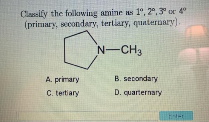 Solved Classify The Following Amine As 1º 2º 3º Or 4°