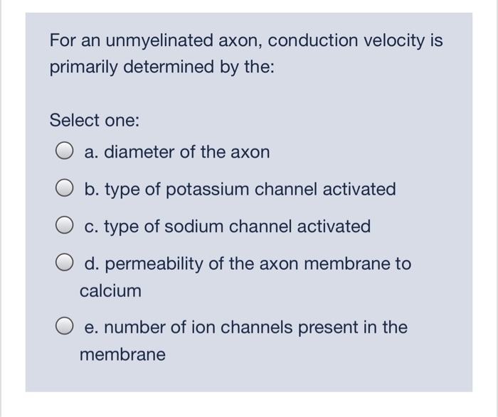 Unmyelinated Axon Conduction Everything You Need To Know - wpyuhnd