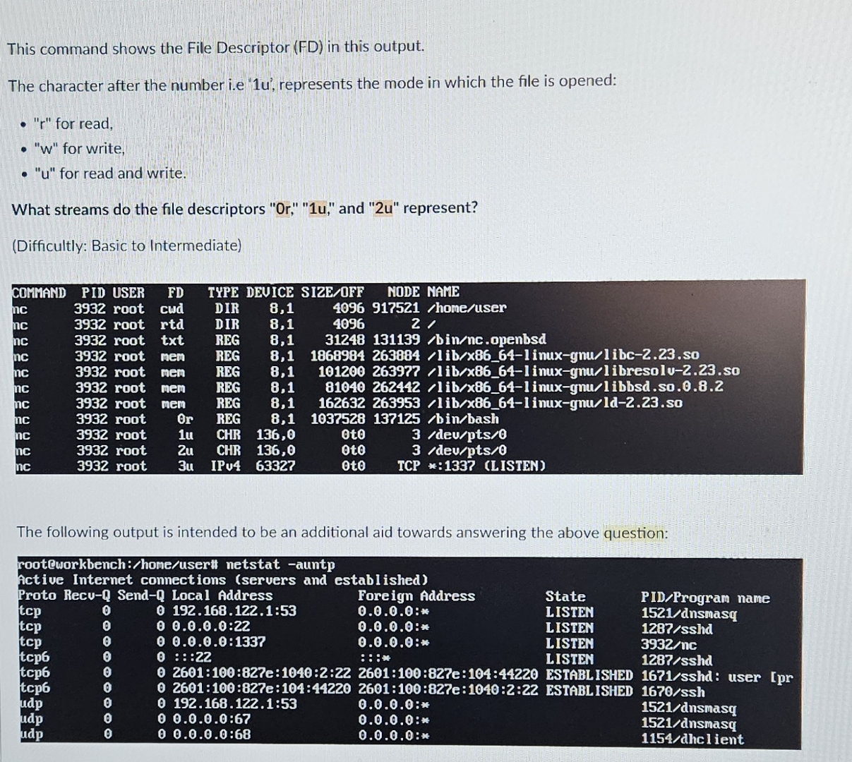Solved This command shows the File Descriptor (FD) ﻿in this