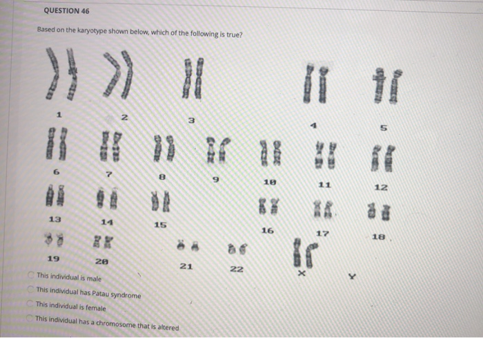 Solved QUESTION 46 Based On The Karyotype Shown Below, Which | Chegg.com