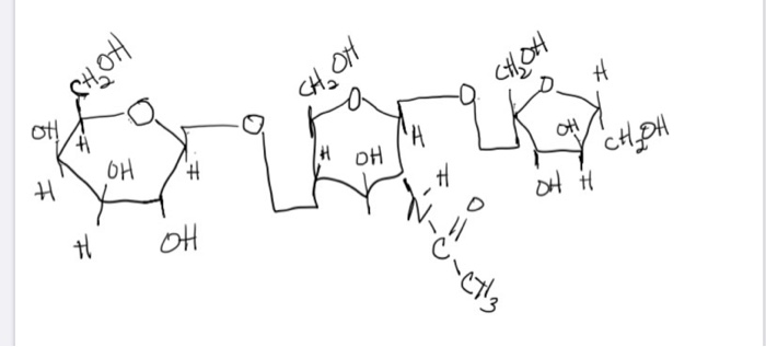 Solved subject biochemistry Name this trisaccharide using