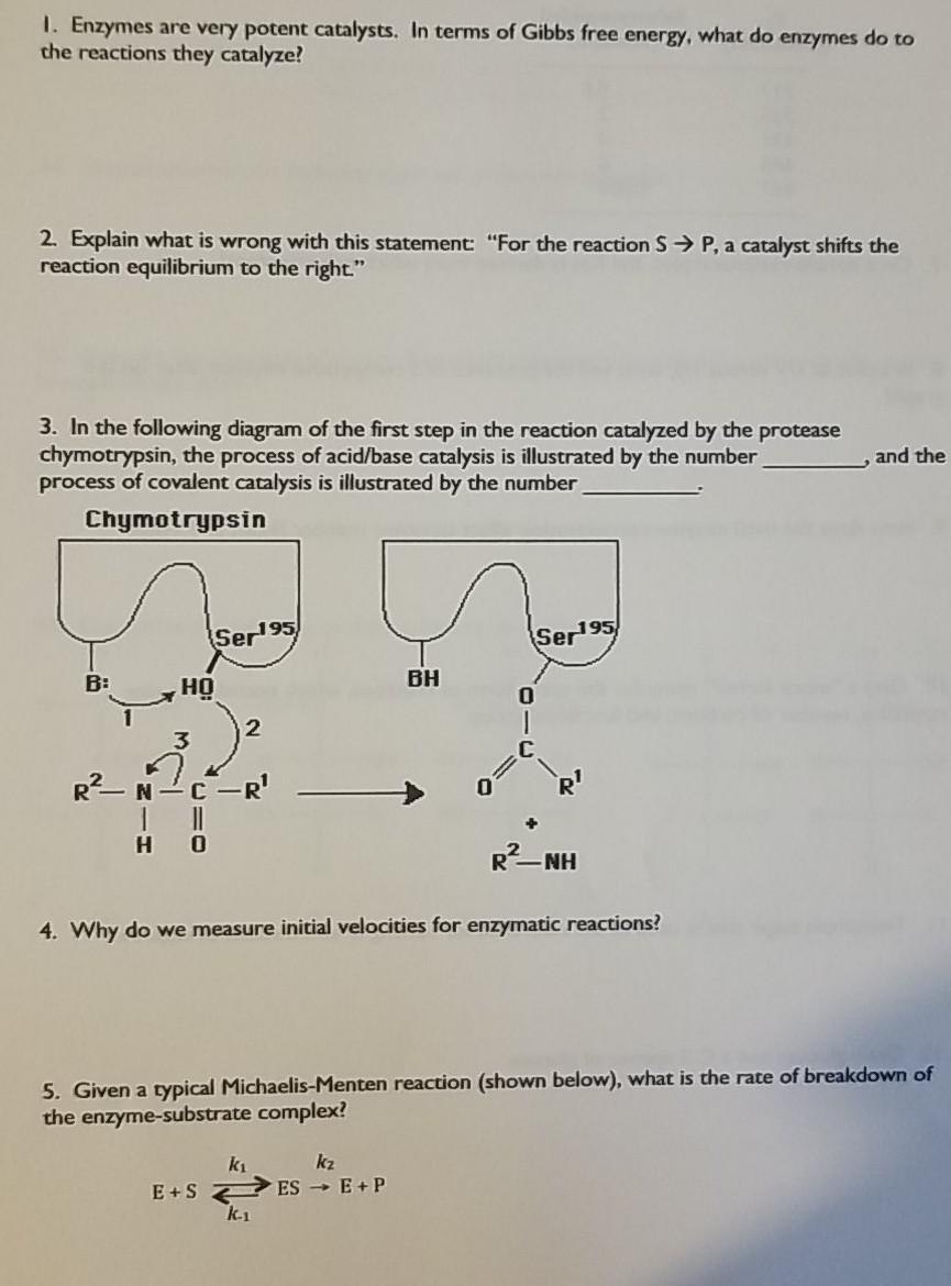 Solved 1. Enzymes are very potent catalysts. In terms of