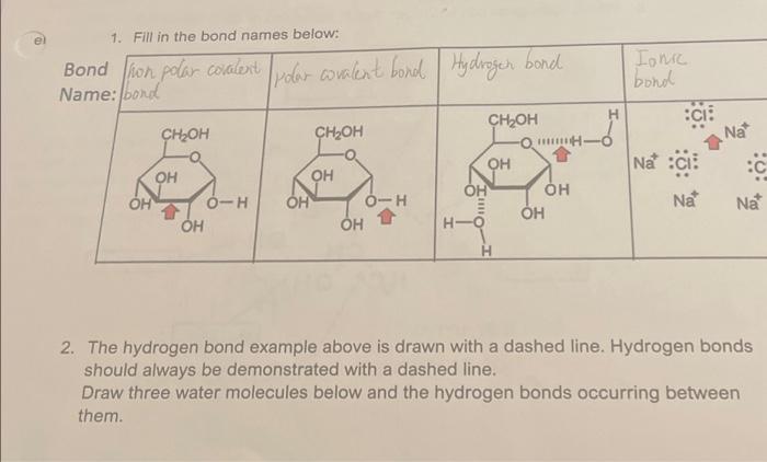 Solved el 1. Fill in the bond names below: Bond on polar | Chegg.com