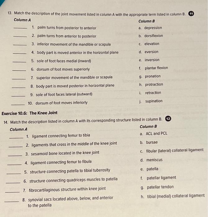 Solved 14. Match the description listed in column A with its | Chegg.com