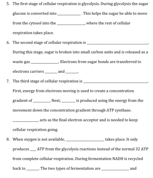 Solved 5. The first stage of cellular respiration is | Chegg.com