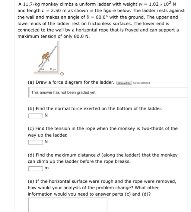 A 11 7 Kg Monkey Climbs A Uniform Ladder With Weight Chegg Com