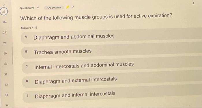 Question 25 FUAD QUESTION 25 Which of the following muscle groups is used for active expiration? 26 Answers A E 27 Diaphragm