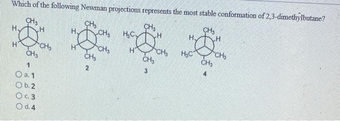 solved-which-of-the-following-newman-projections-represents-chegg