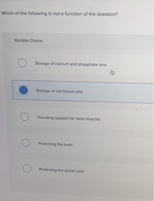 Solved Which of the following is not a function of the