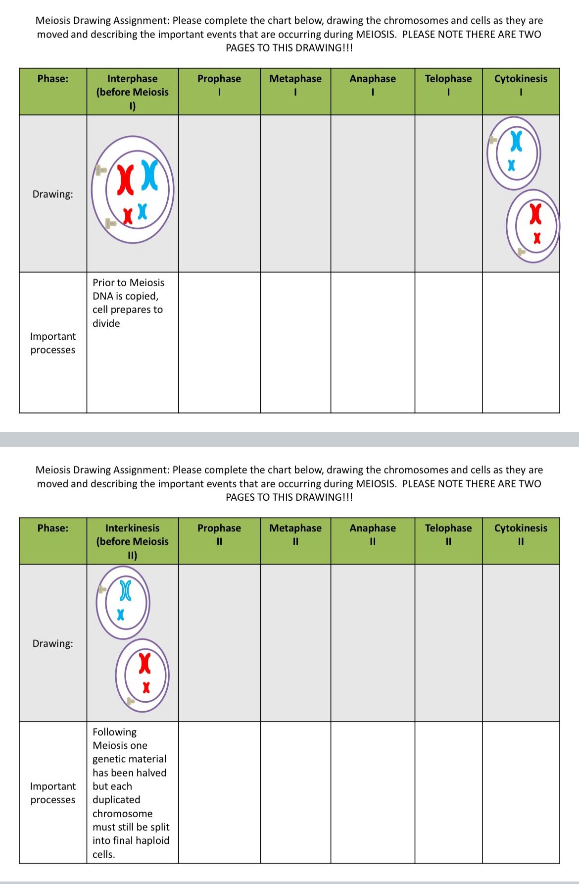 [Solved]: Meiosis Drawing Assignment: Please complete the ch