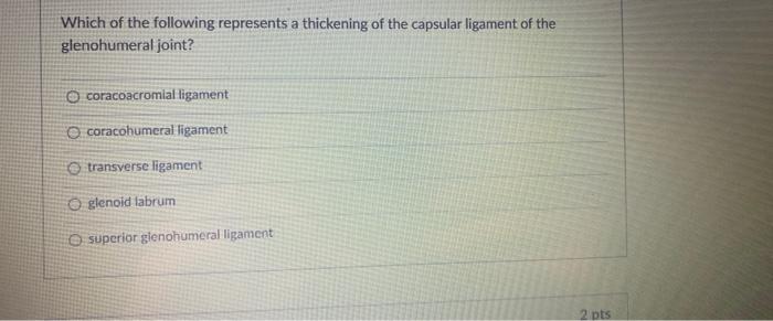 Which of the following represents a thickening of the capsular ligament of the
glenohumeral joint?
O coracoacromial ligament
