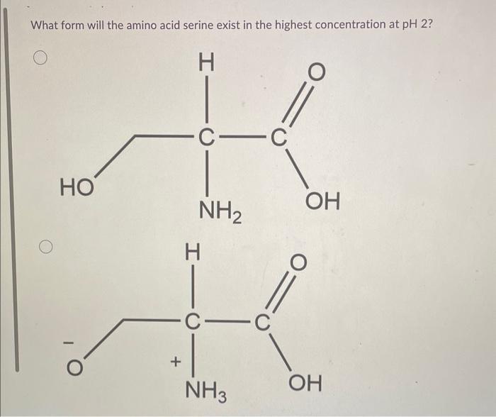 Solved What form will the amino acid serine exist in the | Chegg.com