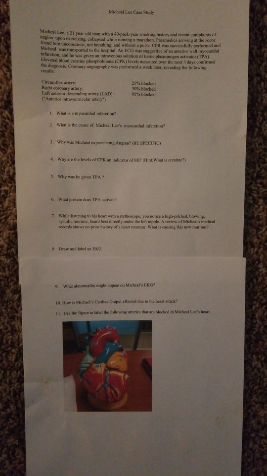 Solved Micheal Lee Case Study Micheal Lee A 21 Year old Man Chegg