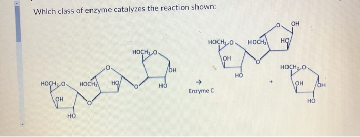 Solved Which class of enzyme catalyzes the reaction shown: | Chegg.com