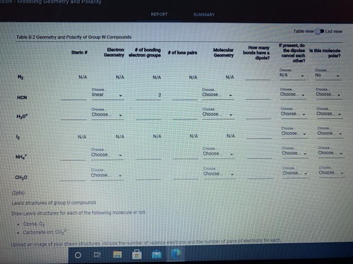 Solved Sion Modeling geometry and Polarity REPORT SUMMARY