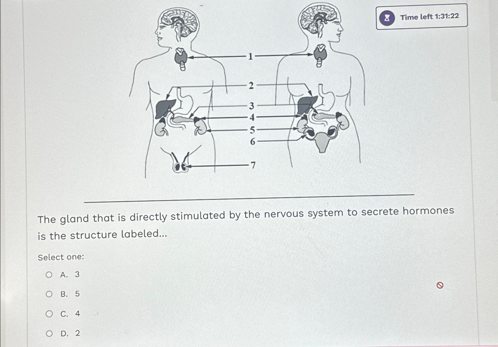Solved 8 ﻿Time left 1:31:22q,The gland that is directly | Chegg.com