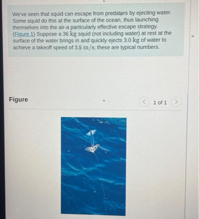 Solved We've seen that squid can escape from predators by | Chegg.com