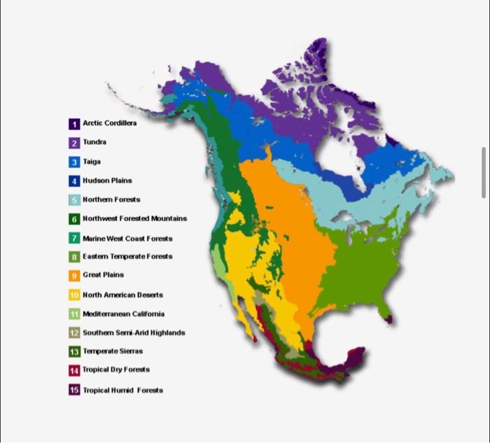 Solved NORTH AMERICAN BIOMES The Map On The Following Page Chegg Com   Image