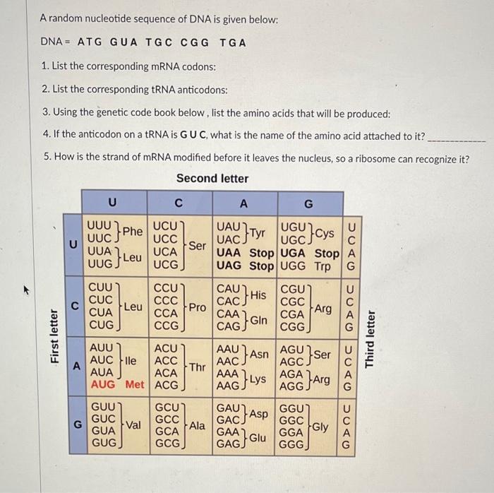 Solved A random nucleotide sequence of DNA is given below: | Chegg.com